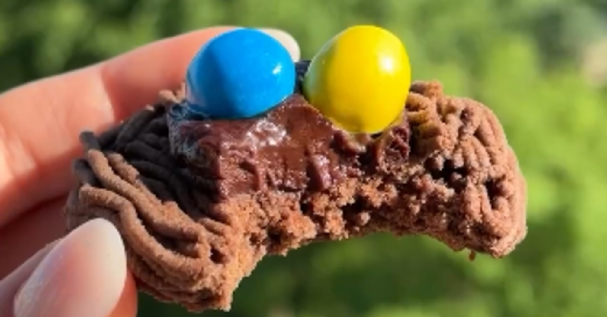 Unusual and simple recipe for 'nest' cookies: how to amaze your kids