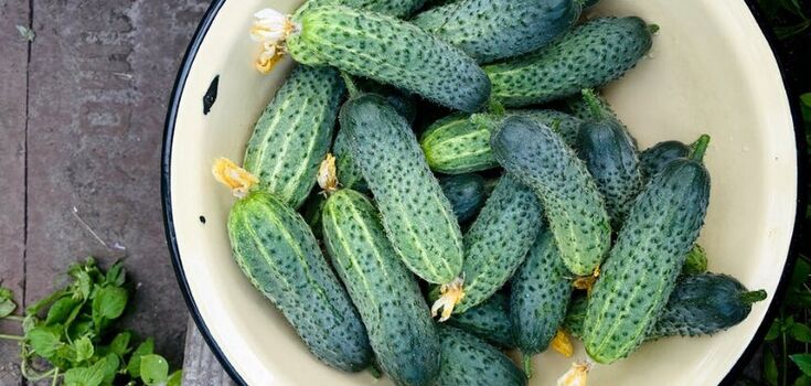 Georgian-style salad with low-salted cucumbers overnight
