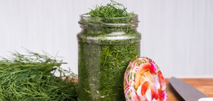 Canned dill for the winter: how to preserve herbs for the winter without freezing