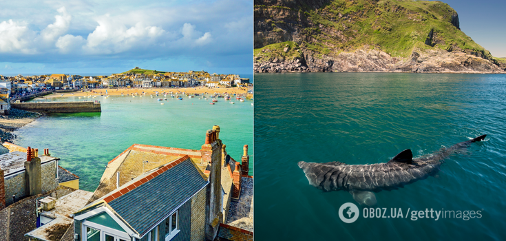 Like in the thriller movie Jaws. A three-meter shark caused panic at a resort in the UK: children ran out of the sea screaming