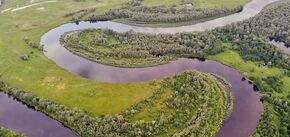 Desna River pollution reaches Kladkivka in Chernihiv region, mitigation measures are underway - Ministry of Environmental Protection
