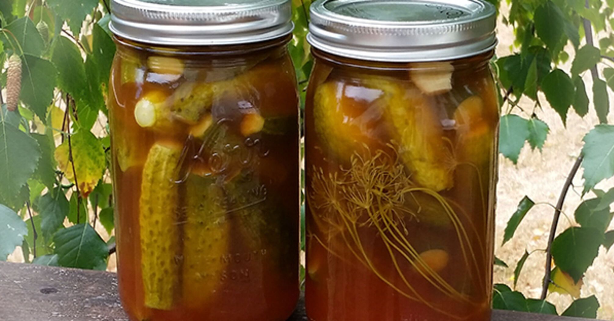 How to deliciously pickle cucumbers for the winter: a very simple and spicy marinade with ketchup