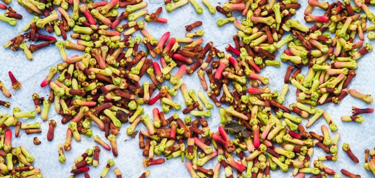 Cloves: important benefits revealed that you should know about
