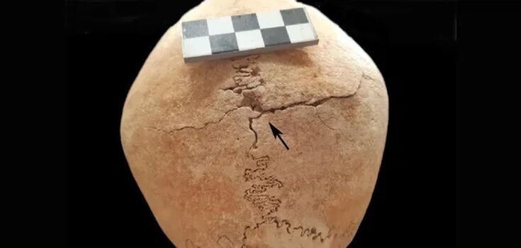 A medieval female warrior was buried with 23 monks: archaeologists were puzzled by the discovery during excavations of a castle in Spain. Photo.