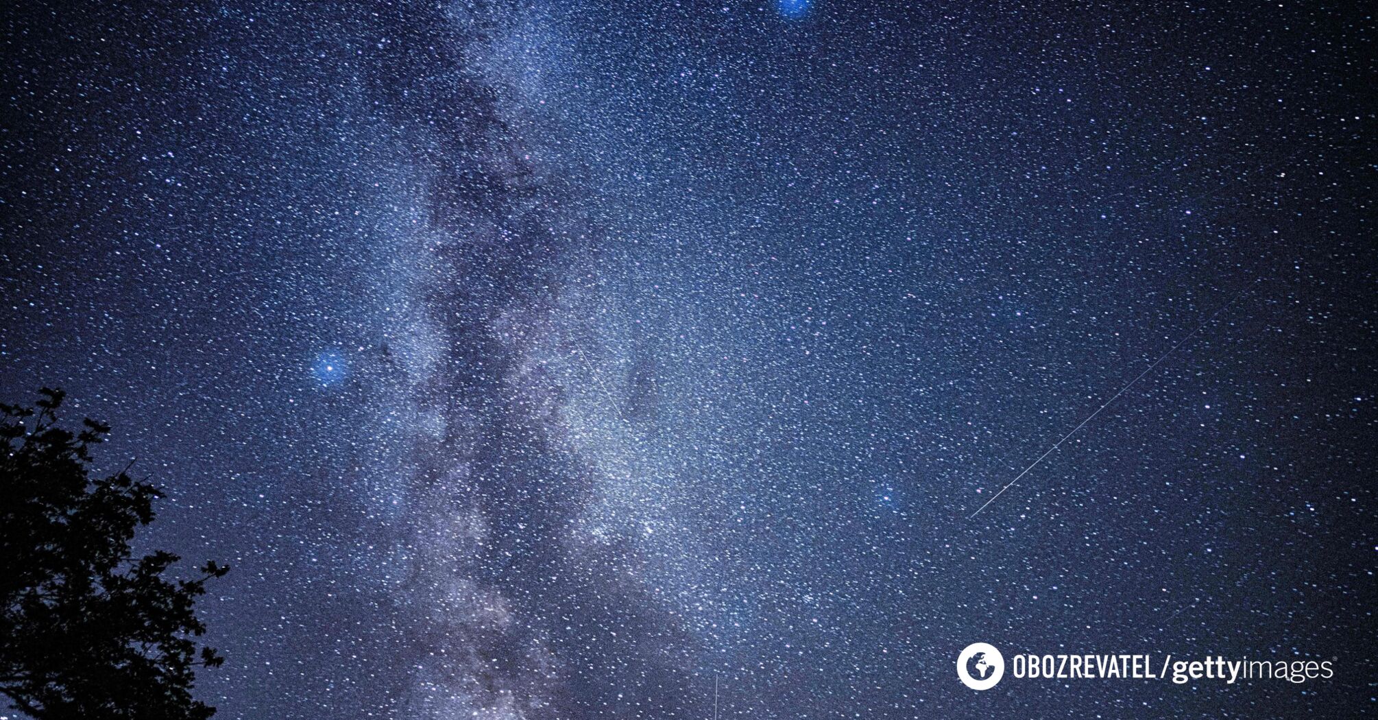 A swan flying along the Milky Way. The inhabitants of the Earth will see one of the brightest constellations of the night sky