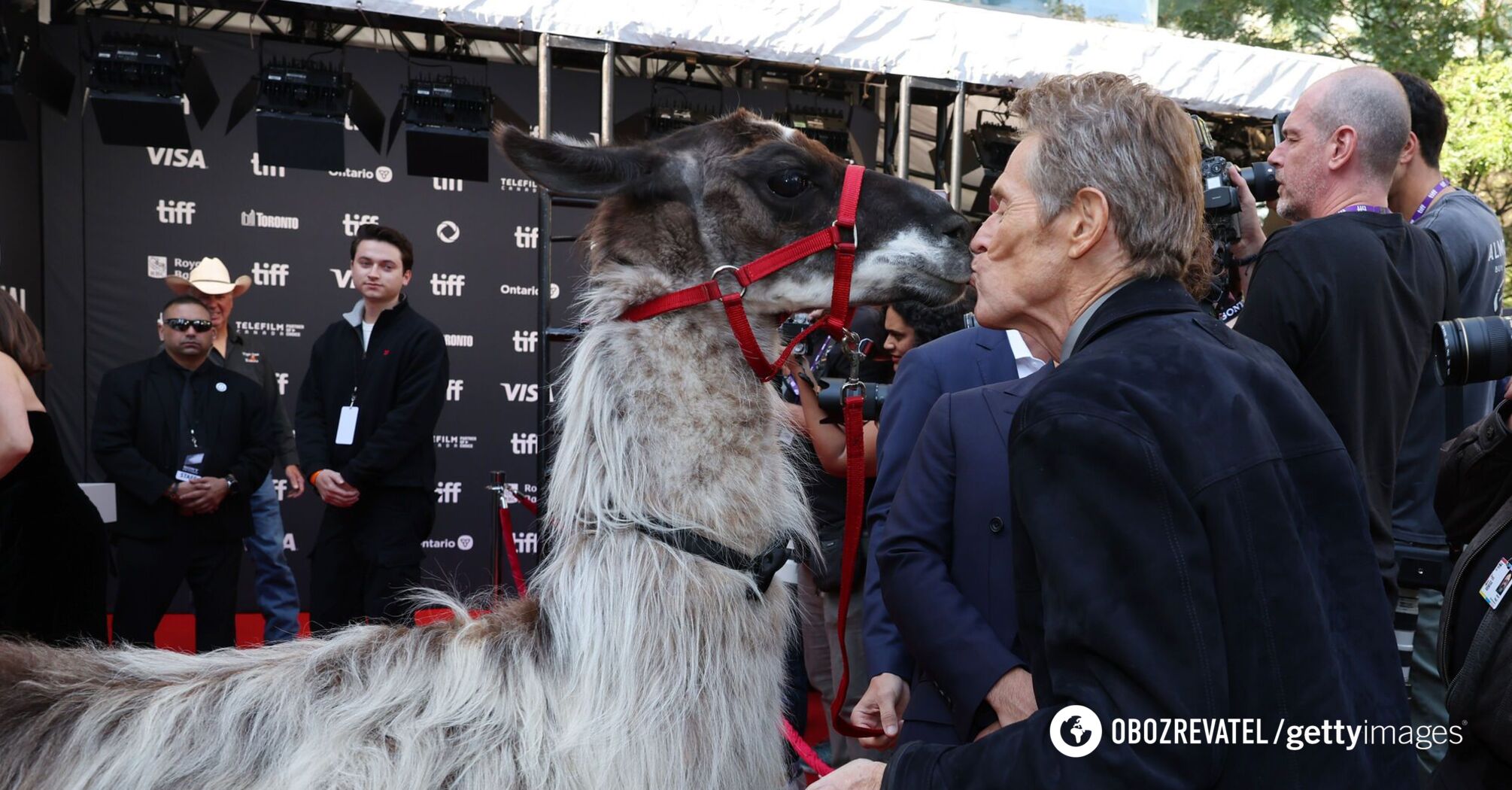 Willem Dafoe pocałował lamę na czerwonym dywanie i poruszył sieć. Wirusowe zdjęcie