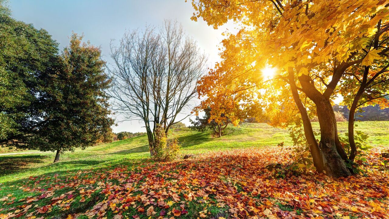 When in September 2024 the day of the autumnal equinox: date and omens