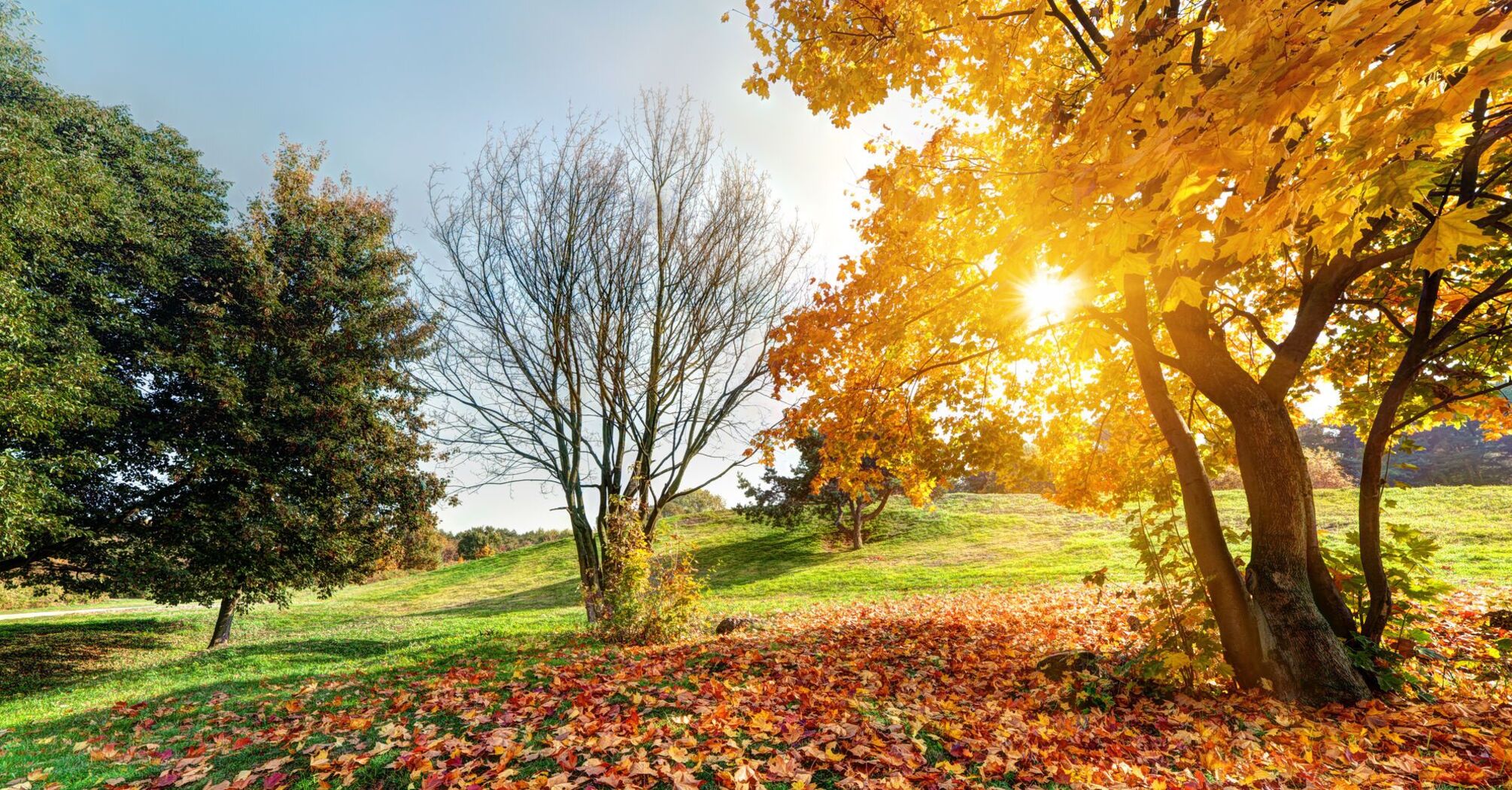 Autumnal Equinox Day 2024 when this year omens and traditions