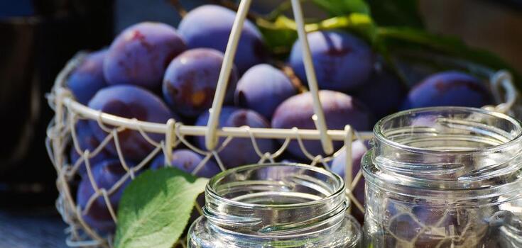 How to dry plums for the winter: the method is suitable for the dryer