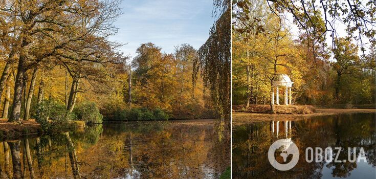 Top arboretums in Ukraine: where to go for the weekend
