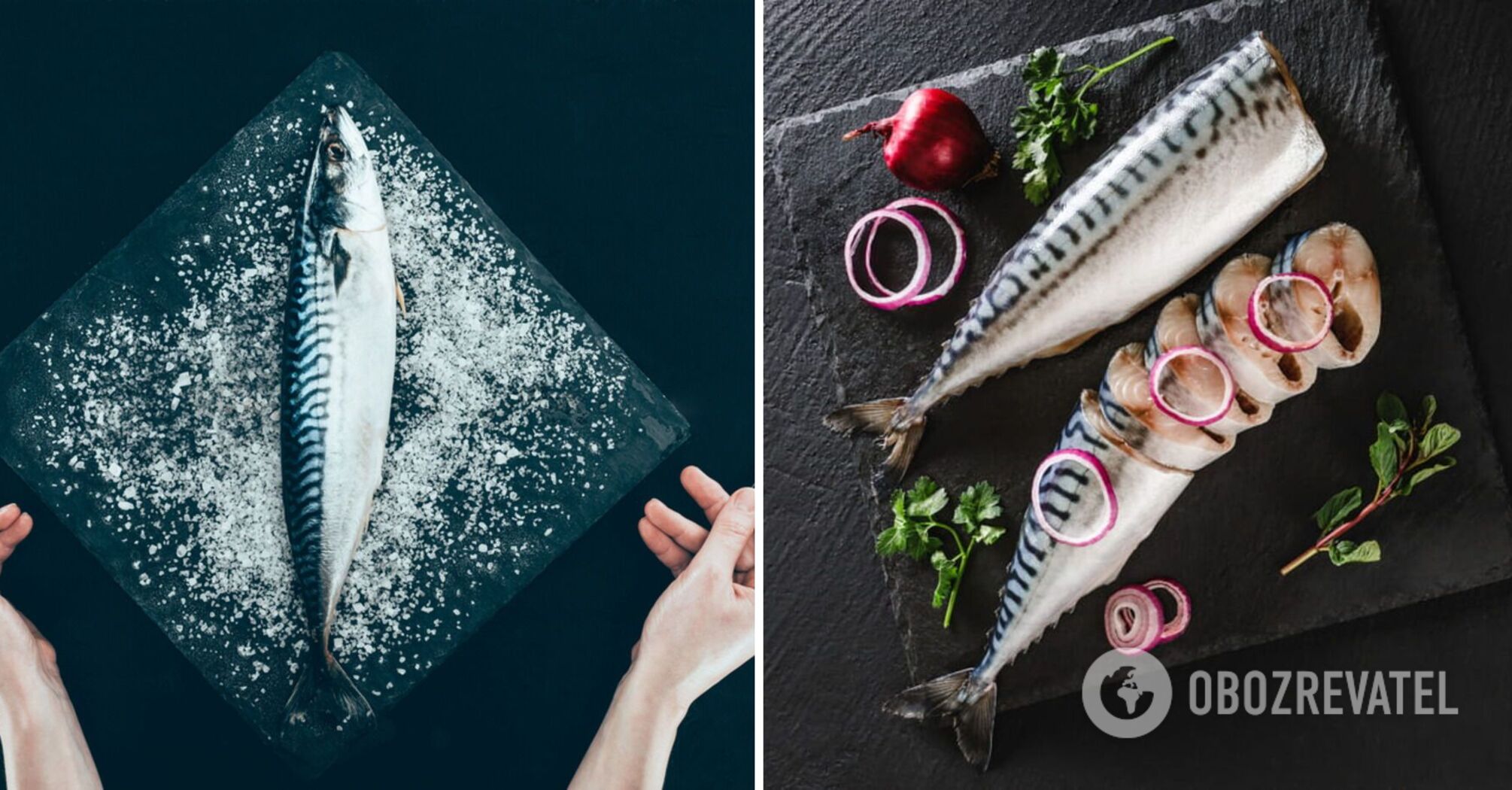 How to quickly and deliciously salt mackerel: you can eat it in a day