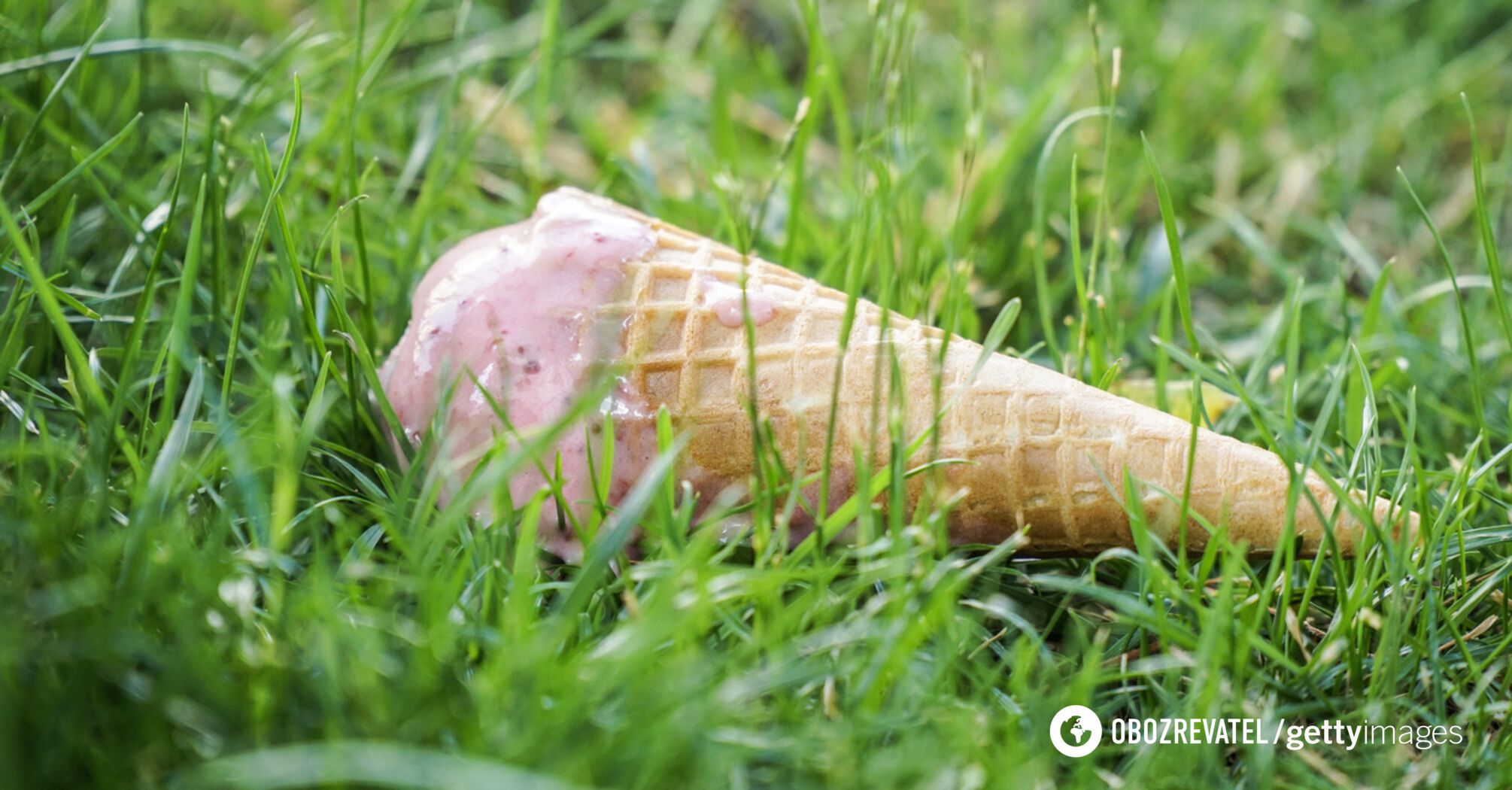 Is it possible to eat food that has fallen to the ground: a nutritionist gave a clear answer