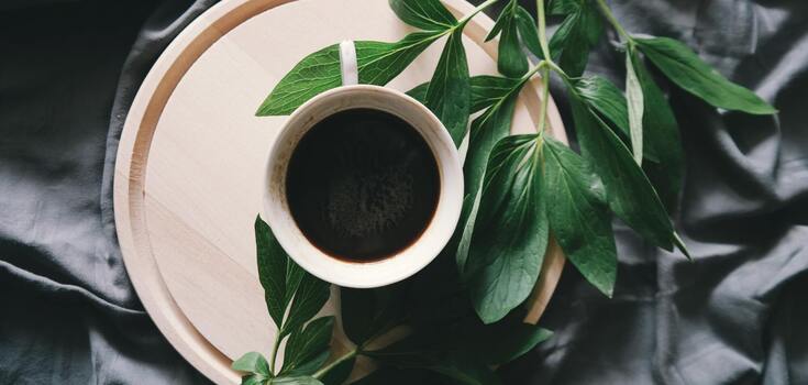 instant coffee