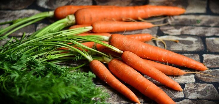 How to preserve carrots for the winter – basic rules and methods