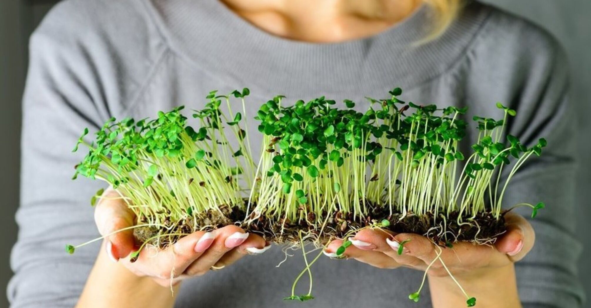 benefits of microgreens