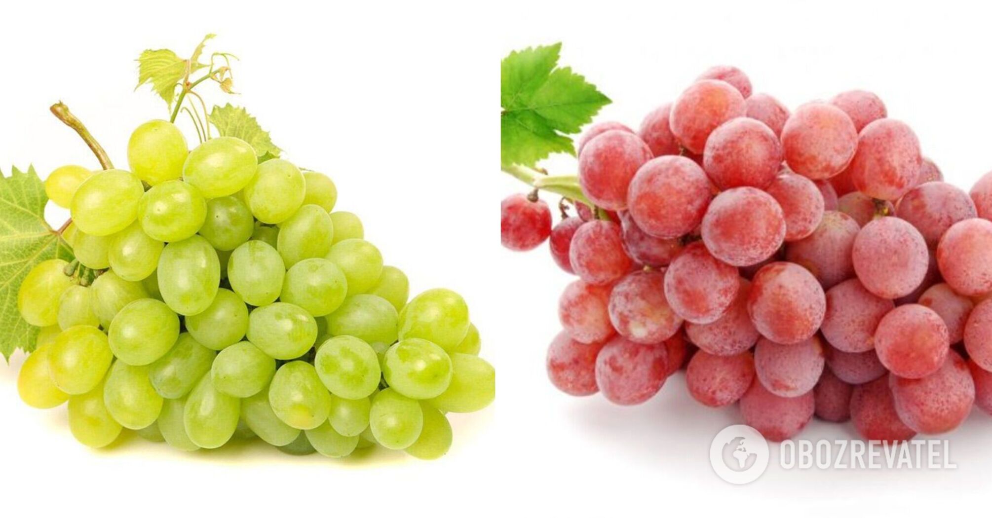 Grapes: which is healthier - red or white