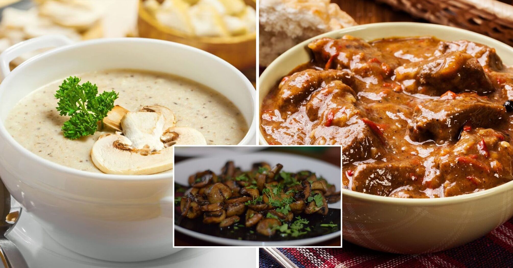 The best mushroom dishes to cook