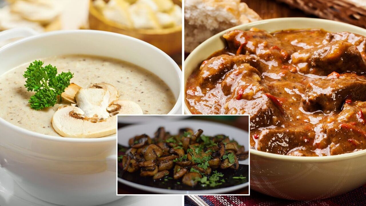 The best mushroom dishes to cook