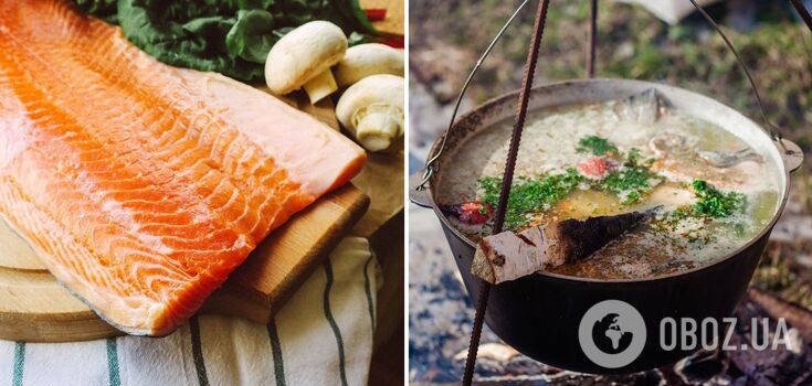 What part of the salmon to use for budget fish soup: a simple idea