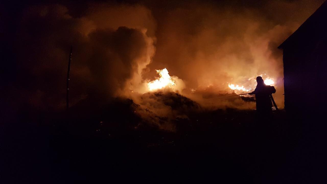 Russians massively attacked Zaporizhzhia region: two people were killed and five others wounded. Photos
