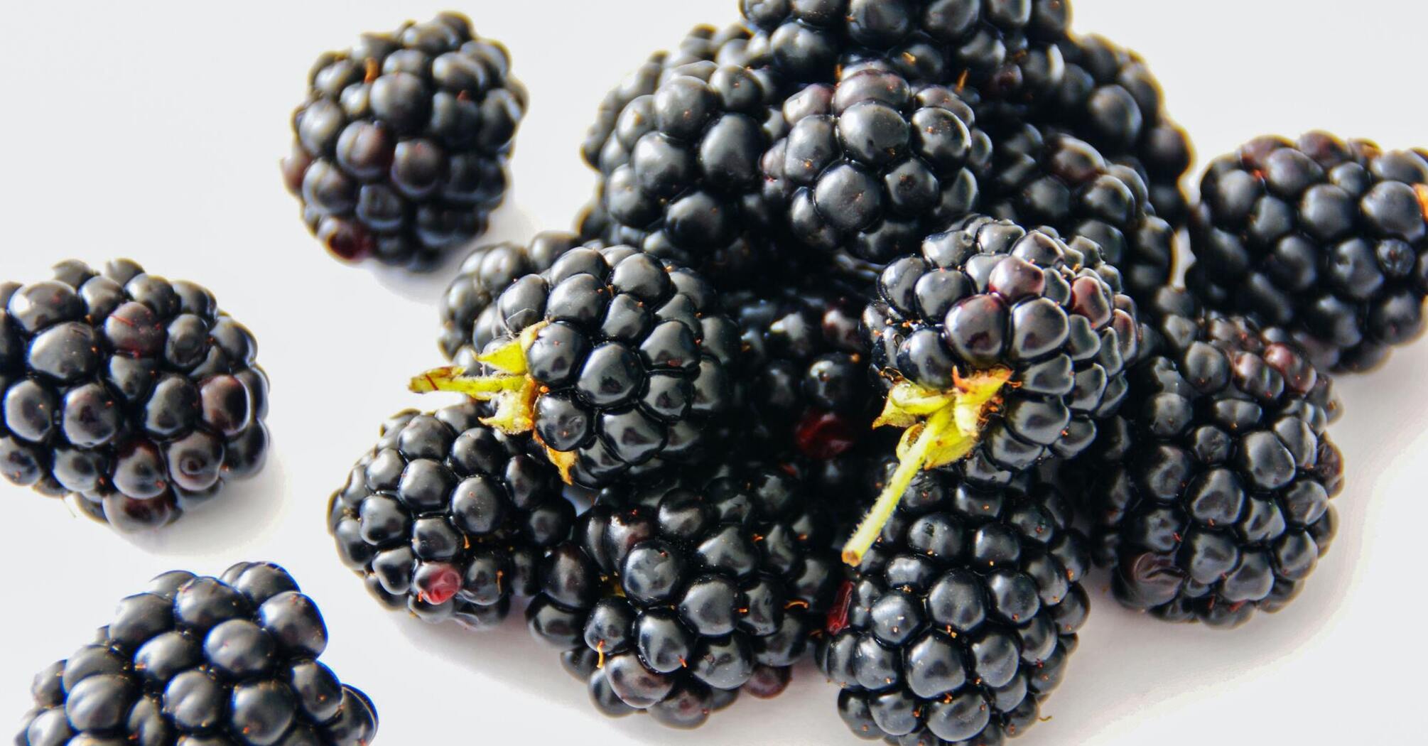 Ripe blackberries