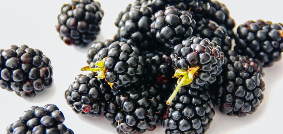 Ripe blackberries