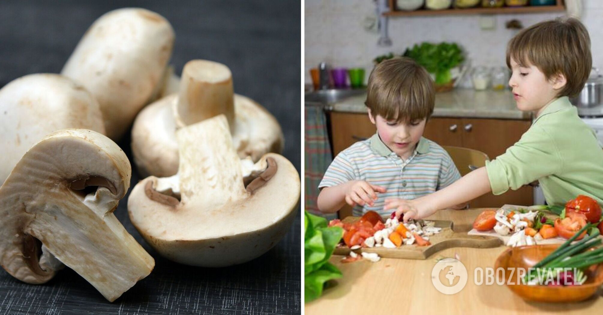 Can children eat champignons: an expert dispels myths. Exclusive