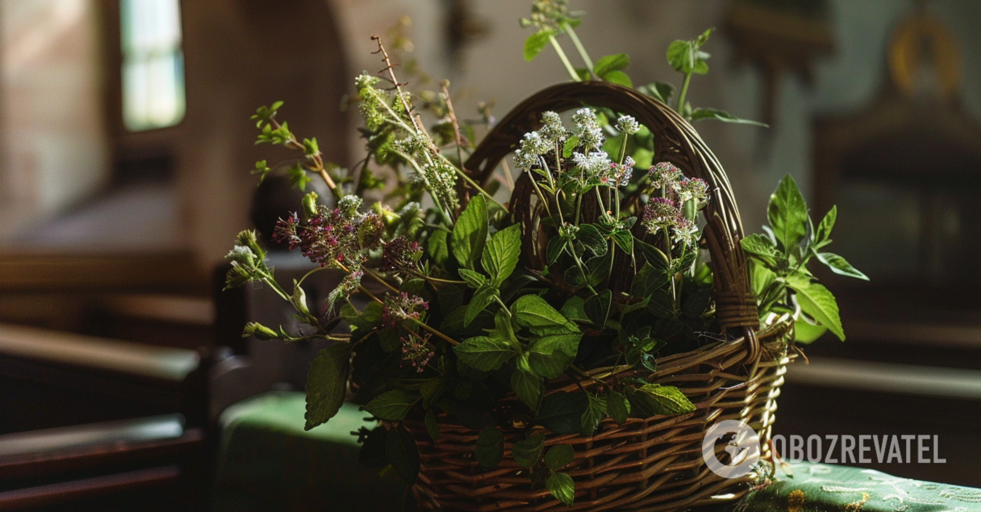 Hibernate indoors: which spices can be grown all year round