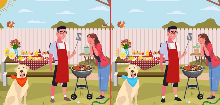 Spot the 12 Differences: a challenging puzzle for the most attentive