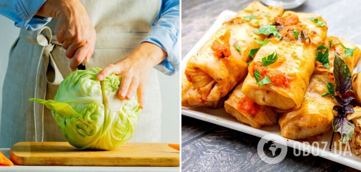 Homemade cabbage rolls