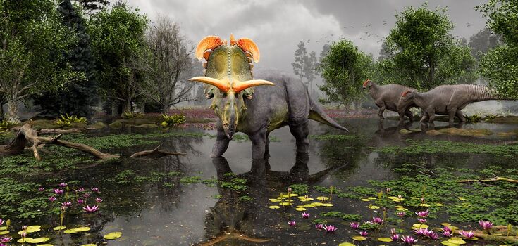 A new species of dinosaur with large blade-like horns has been found in Montana. Photo
