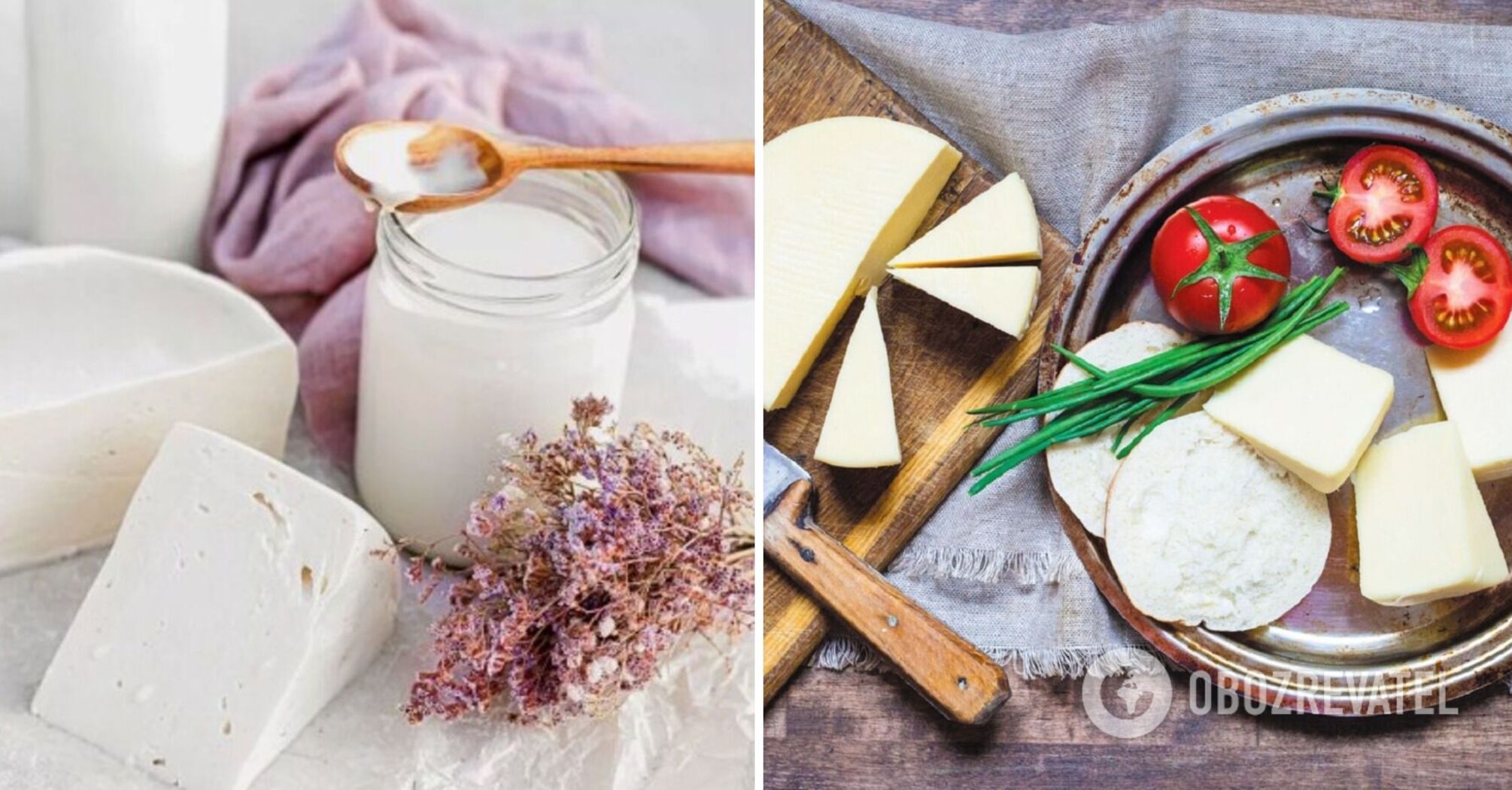 Delicious suluguni cheese at home: what ingredients to use