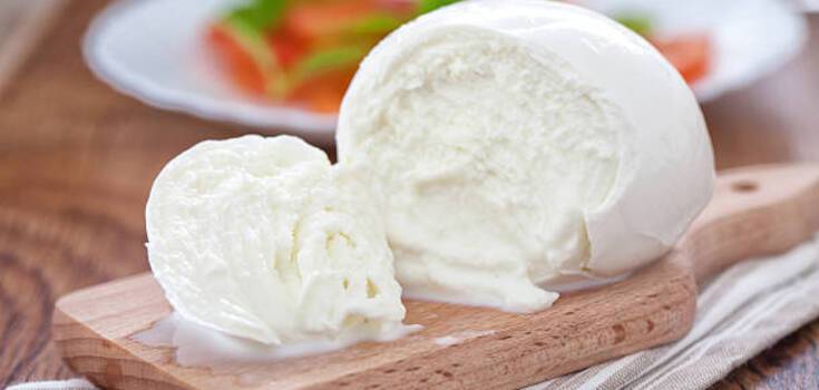Two-ingredient mozzarella cheese: how to choose and prepare milk correctly