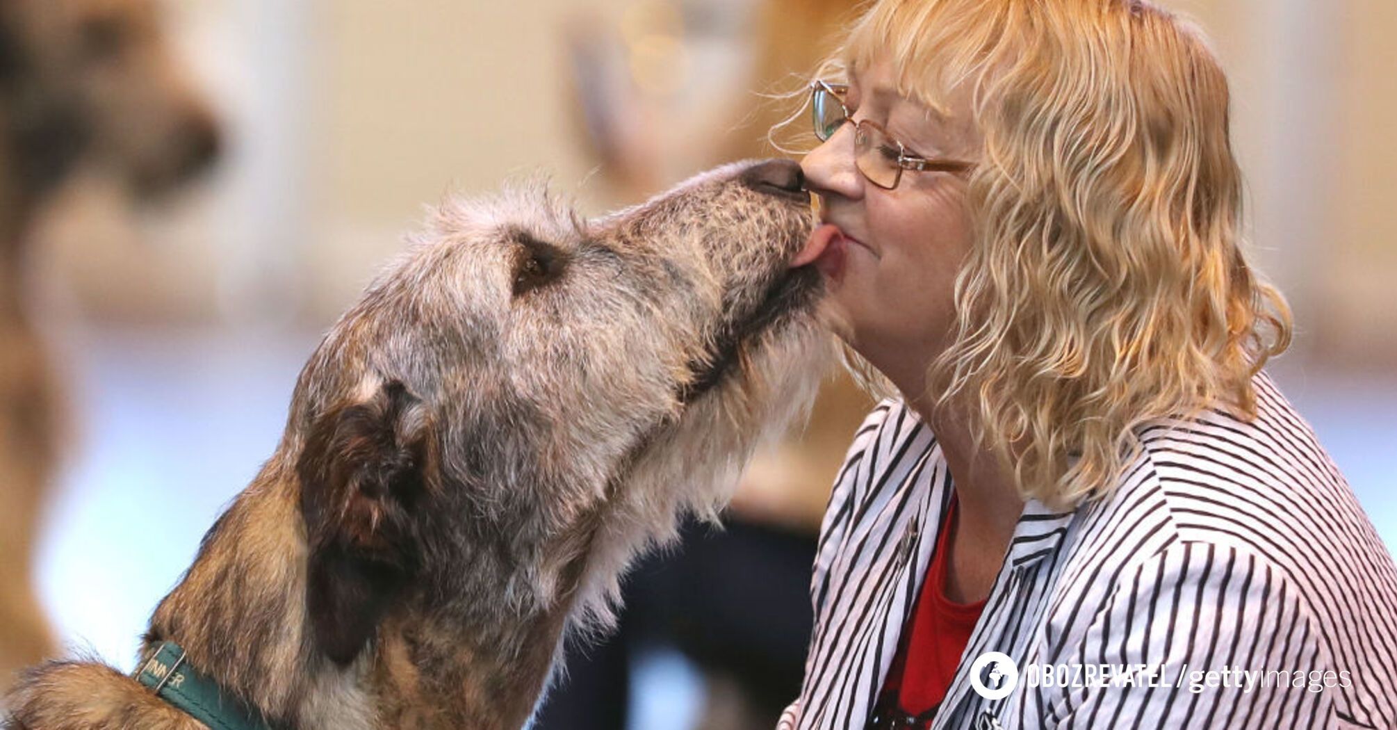 Scientists have discovered "interbrain coupling" between humans and dogs: here is how it works