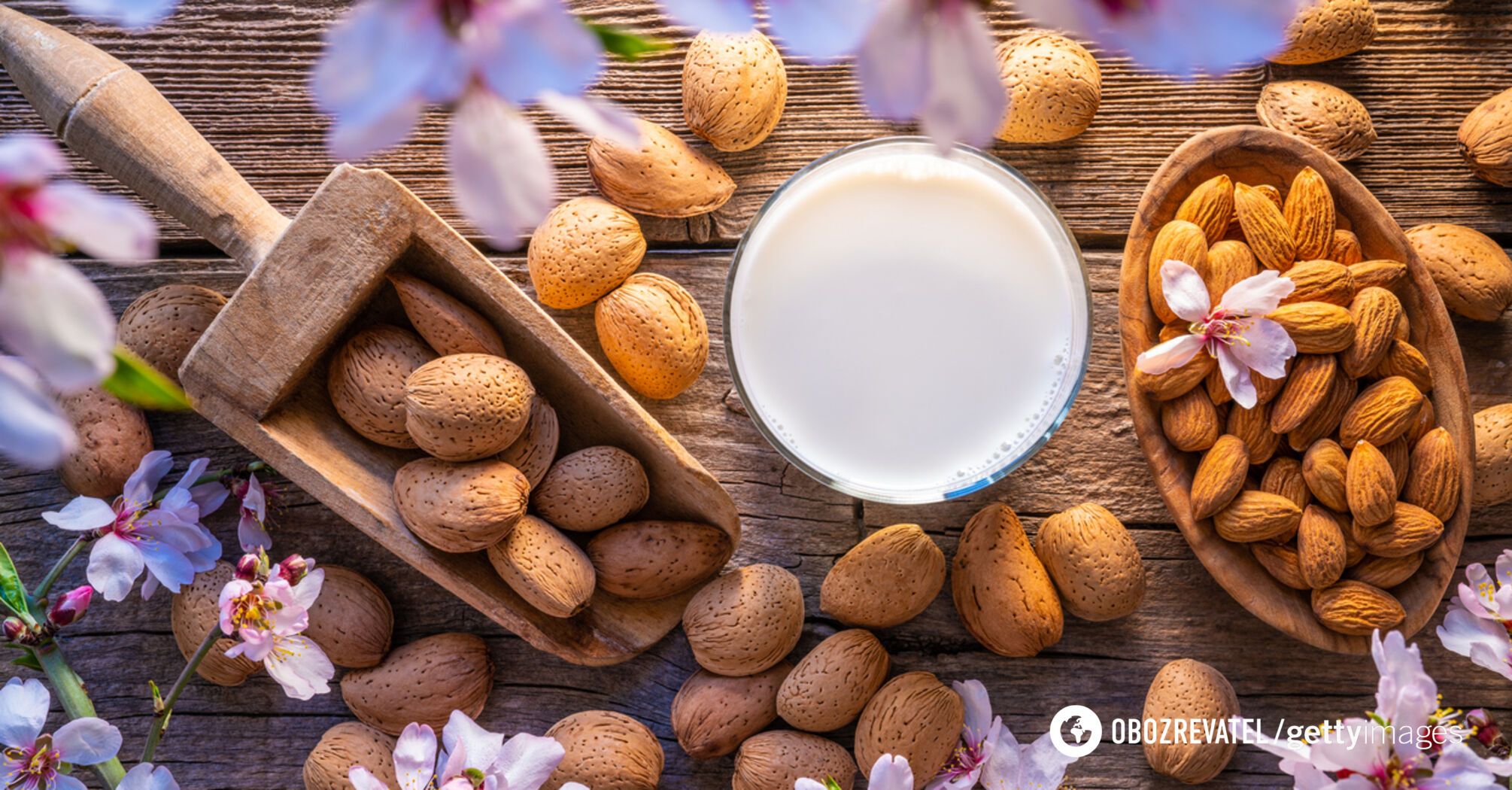 Almonds: the secret of proper consumption revealed, which few people know about