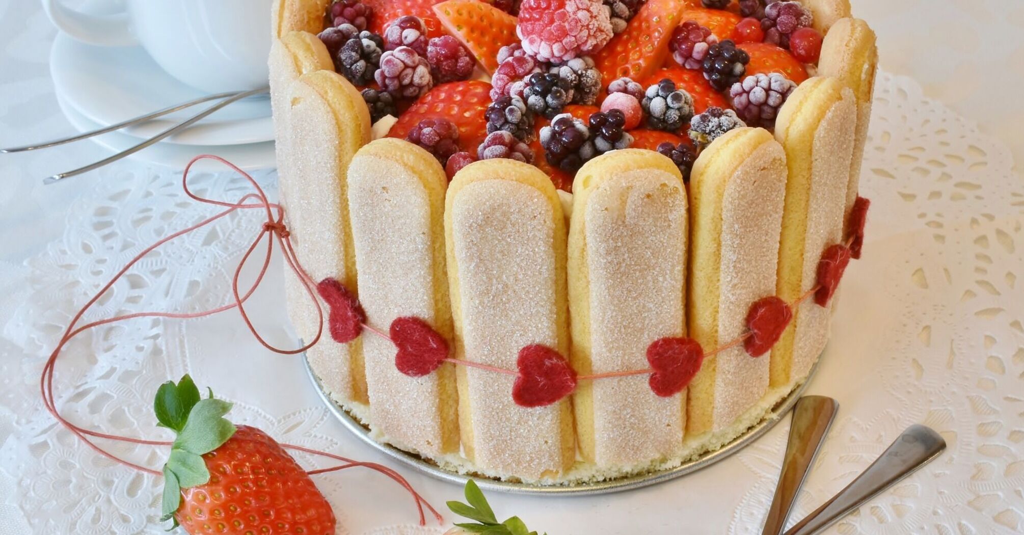 Sponge cake