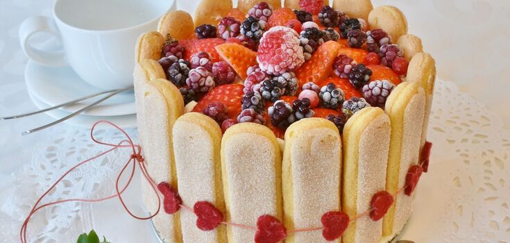 Sponge cake