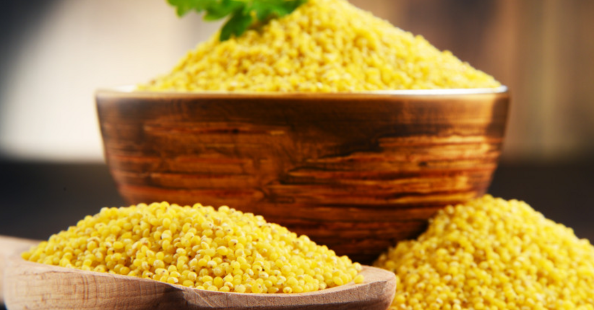 Millet can be roasted before cooking: what every housewife should know