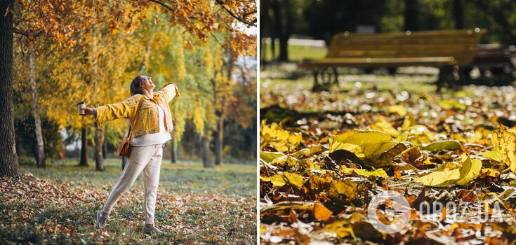 Europe's most beautiful parks: where to enjoy the fall scenery to the fullest