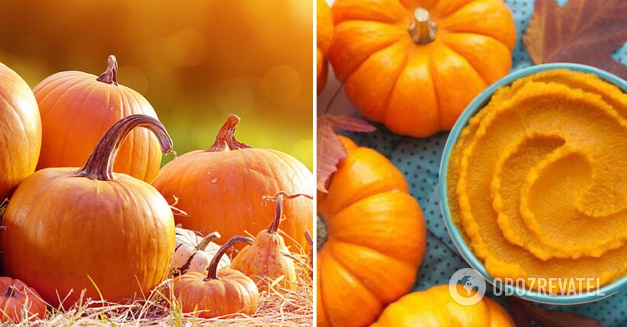 Pumpkin - the superfood of autumn: which dishes are the healthiest