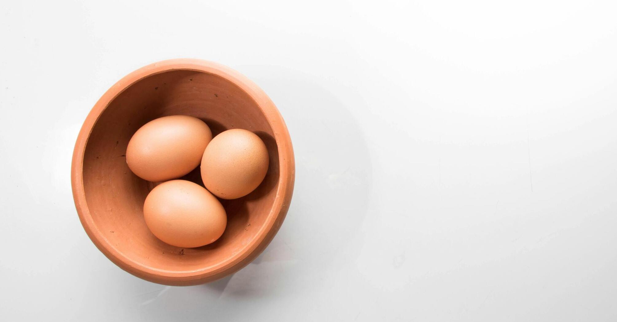 The best place to store eggs: they will definitely stay fresh for a long time