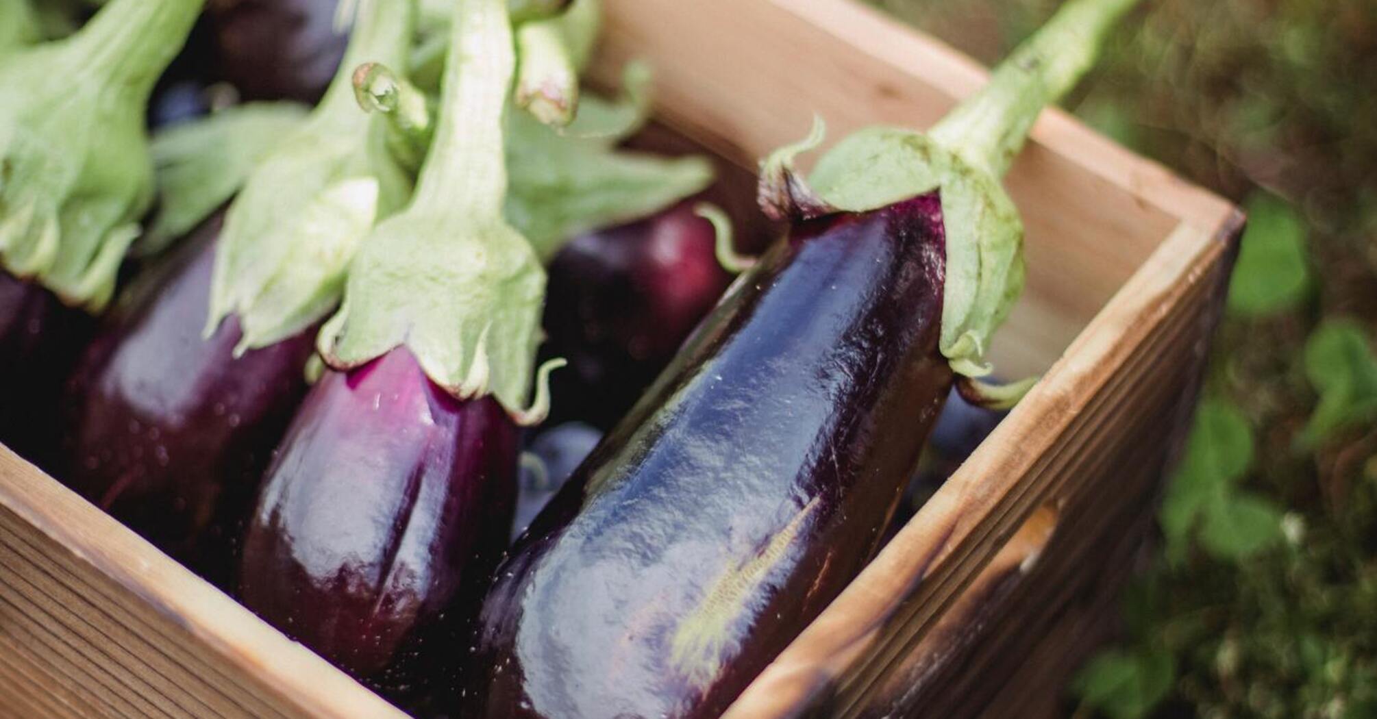 Eggplant for a dish