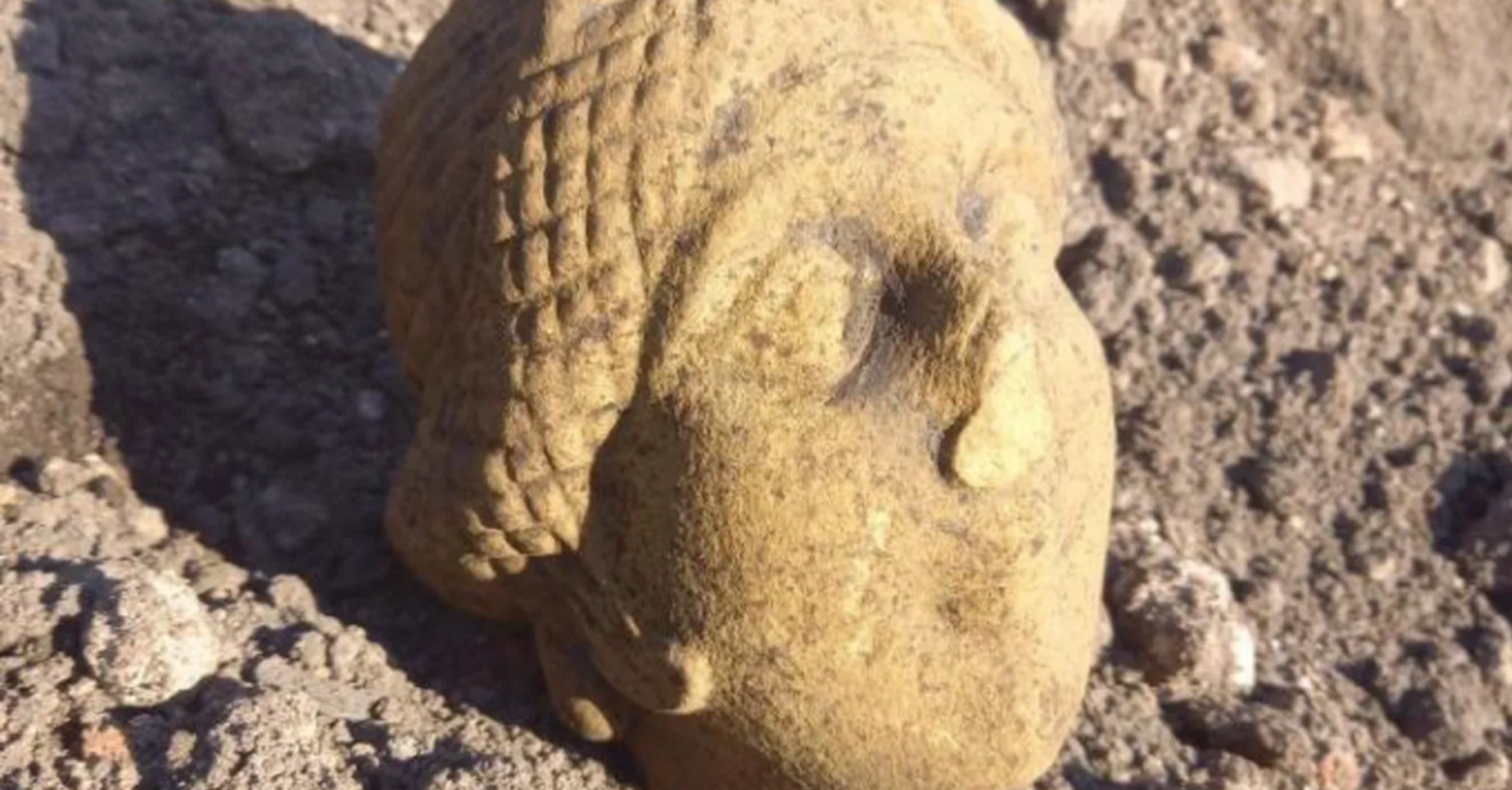 Archaeologists found the head of a statue of a woman at the Carlisle dig: what makes it unique. Photo