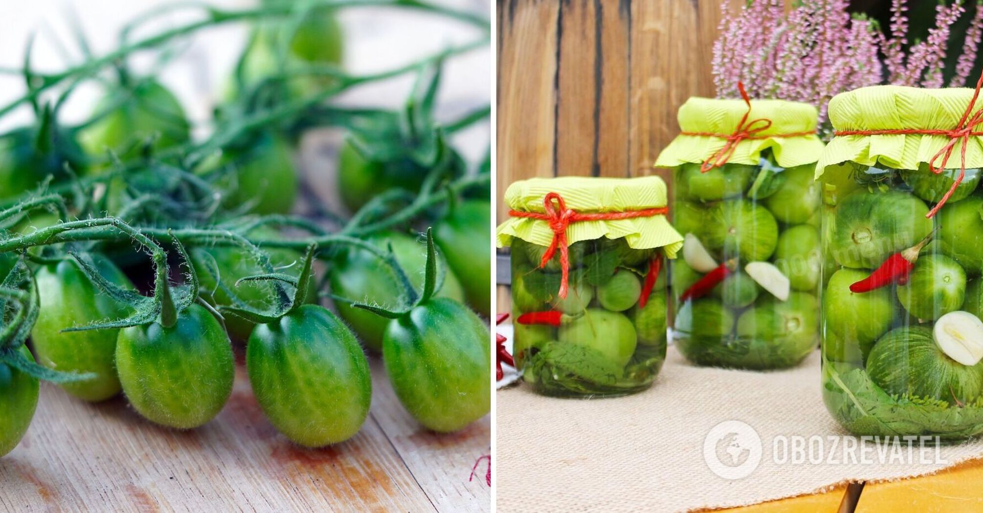 How to pickle green tomatoes