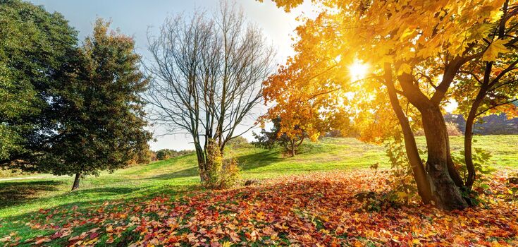 What is the holiday on September 24 in the world and in Ukraine