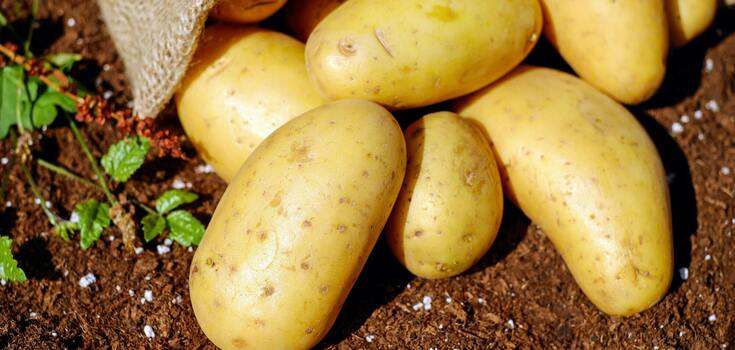 You've definitely been peeling potatoes wrong! An ingenious life hack that will save you from suffering