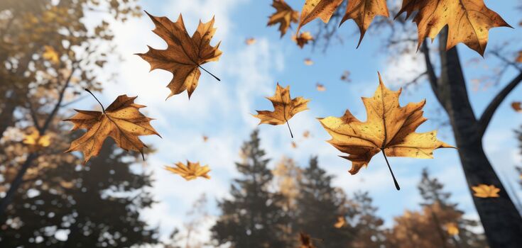 What holiday is celebrated on September 25: all about this day