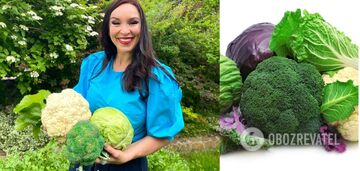 Cabbage is a vegetable that prolongs life