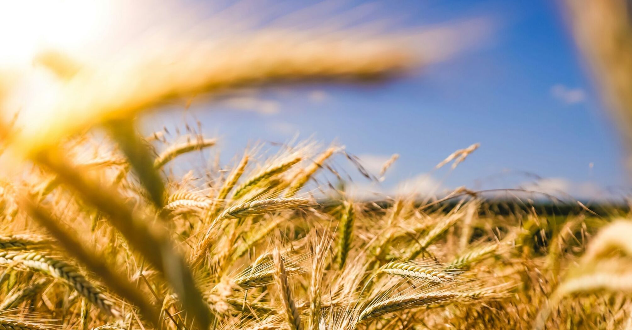 Spainish farmers protest against grain imports from Ukraine