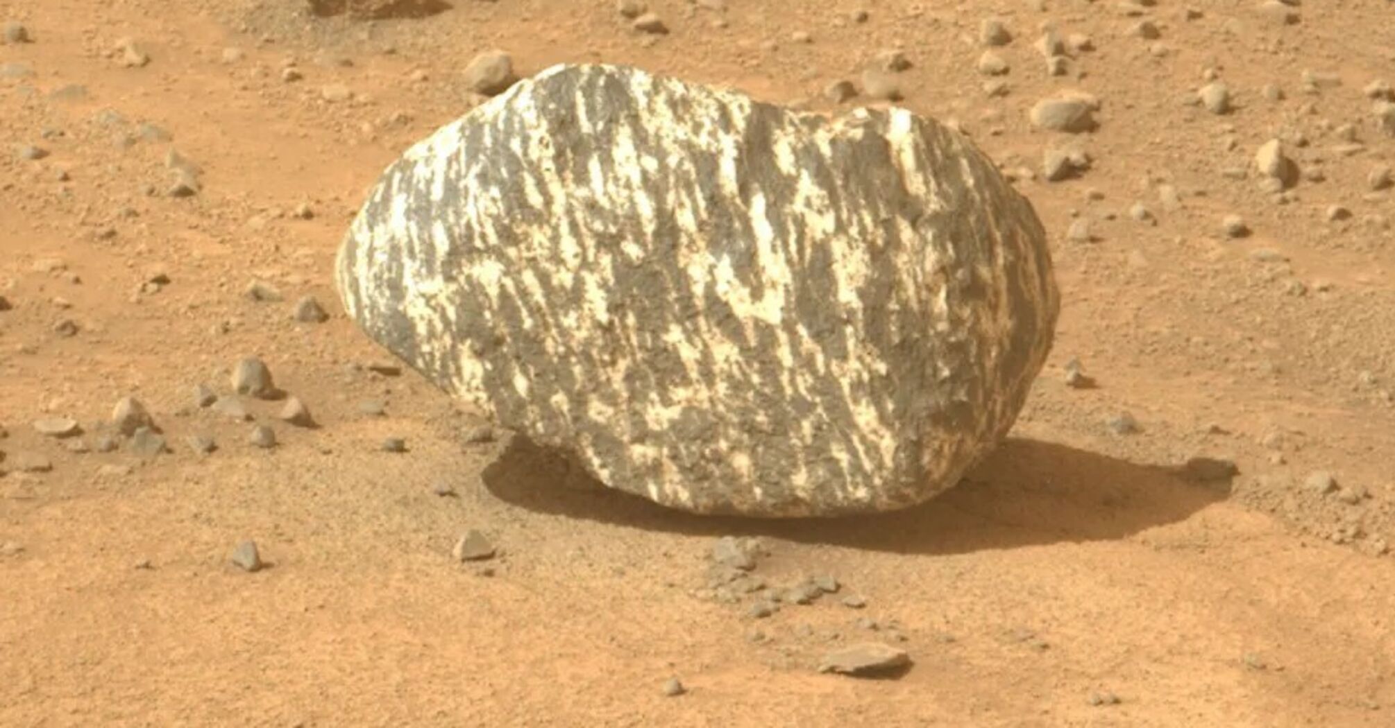 Strange "zebra stone" found on Mars that may shed light on the Red Planet's past